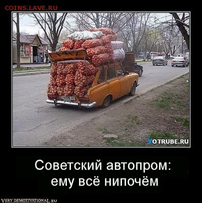 веселые картинки - аbig_a7b8d305a2792c8eb6869a79775dff68