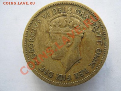 Брит. Западная Африка шиллинг 1951 до 16-05-11 22-00 - IMG_6211
