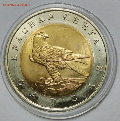 К.К. 50 руб.Сапсан АНЦ. до 05.09.18 - _20180831_112643