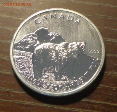 КАНАДА - 5 д МЕДВЕДЬ унцовка до 11.09, 22.00 - Канада Медведь_1.JPG