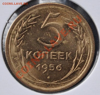 Реверс 5 копеек 1956 - Реверс 5 копеек 1956.JPG