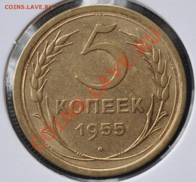 Реверс 5 копеек 1955 - Реверс 5 копеек 1955.JPG