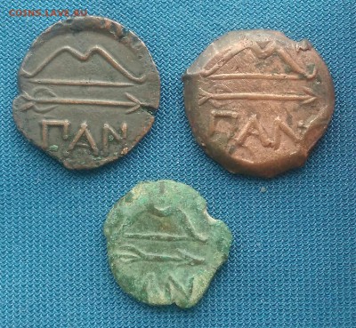 3 античные монеты.Пантикопей.до 09.09.18г. - _20180906_104733