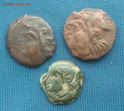 3 античные монеты.Пантикопей.до 09.09.18г. - _20180906_104413