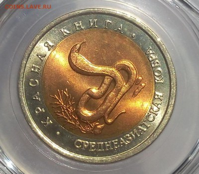 КК Среднеазиатская Кобра MS 64 до 07.09.18 с 200 - IMG_20100106_212218-1.JPG