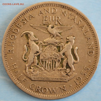 2 кроны 1955г. ЕЛИЗАВЕТА-II до 13.9 - IMG_4067.JPG