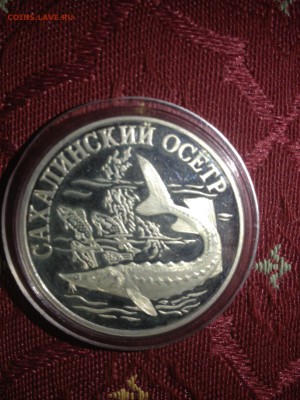1 руб. Сахалинский Осетр. КК 2001г. до 13.09 - 5