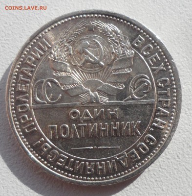ПОЛТИННИК 1926 г. БЛЕСК до 11.09-22.00.00 - SAM_4089.JPG
