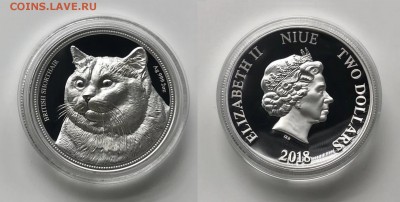 Кошки на монетах - 2-1018-4