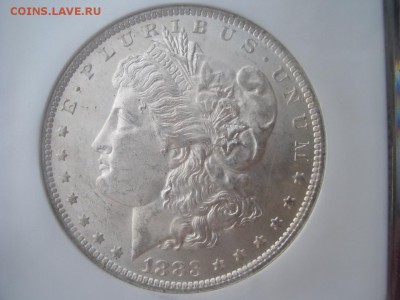 США, Морган доллар, слаб NGC MS64 - 15.09.2018-22.00 Мск. - Dollar 1883-Slab (3).JPG