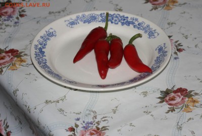 Кто что готовит? Фото-отчёты. - 2018-09-07 (2).JPG