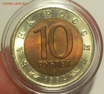 КК Краснозобая Казарка мешковой UNC до 11.09.18 - IMG_20100109_235719.JPG