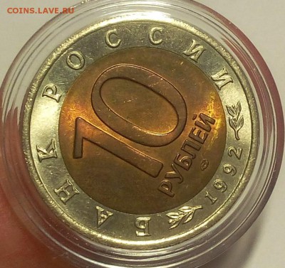КК Краснозобая Казарка мешковой UNC до 11.09.18 - IMG_20100109_235700.JPG