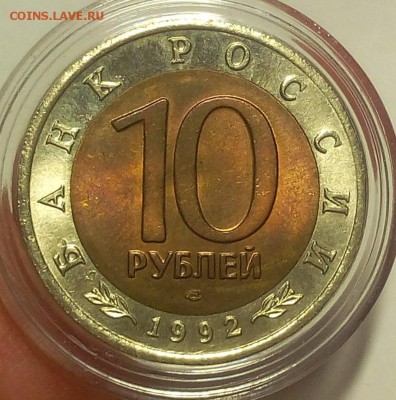 КК Краснозобая Казарка мешковой UNC до 11.09.18 - IMG_20100109_235640.JPG