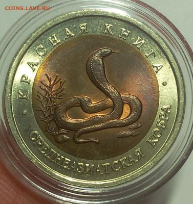КК Среднеазиатская Кобра мешковой UNC до 11.09.18 - IMG_20100109_235159.JPG