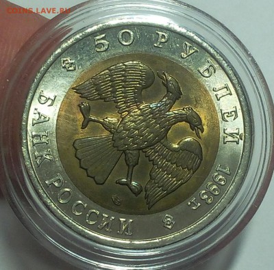 КК Туркменский Зублефар мешковой UNC до 11.09.18 - IMG_20100109_235044.JPG