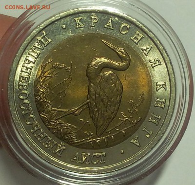 КК Дальневосточный Аист мешковой UNC до 11.09.18 - IMG_20100109_234134.JPG