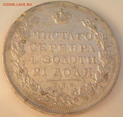 AU) - 160.JPG