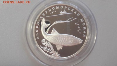 2р. 2008г. Азово-черноморская шемая серебро Ag925, до 14.09 - Z Шемая-1