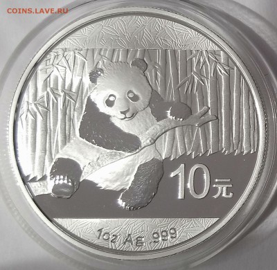 Панды Китая - 91974688