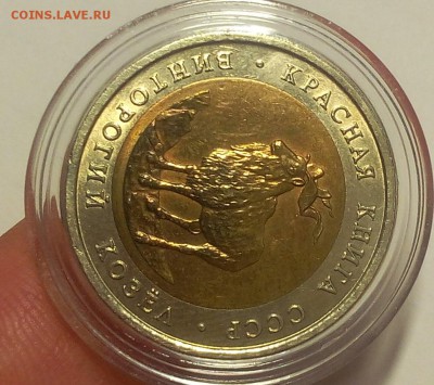 КК 1991г Винторогий Козёл штемпельный до 12.09.18 - IMG_20100111_232055.JPG