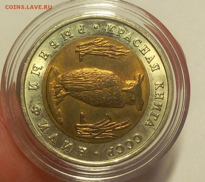 КК 1991г  Рыбный Филин штемпельный до 12.09.18 - IMG_20100111_232414.JPG