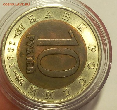 КК Краснозобая Казарка мешковой UNC до 12.09.18 - IMG_20100111_233120.JPG