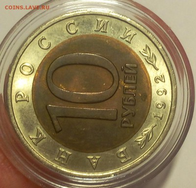 КК Краснозобая Казарка мешковой UNC до 12.09.18 - IMG_20100111_233147.JPG