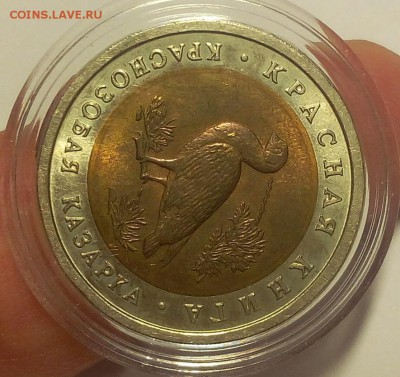 КК Краснозобая Казарка мешковой UNC до 12.09.18 - IMG_20100111_233305.JPG
