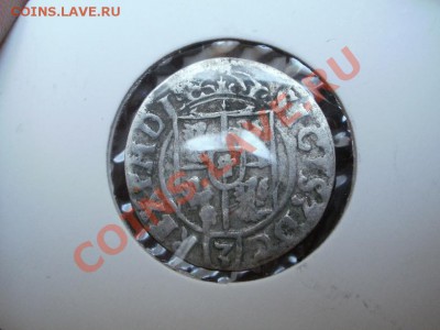 Полторак Из распашки. До 13.05.2011г 22.00мск - P5112823.JPG