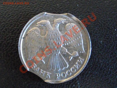 Кавказский тетерев (смещение) 1993 Красная книга до 11.05.20 - DSCF5088.JPG