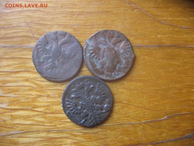 полушки 1735 года 3 шт. разновидность - полуша