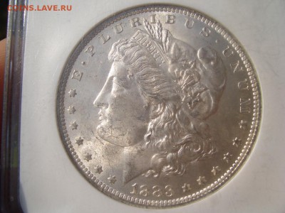США, Морган доллар, слаб NGC MS64 - 15.09.2018-22.00 Мск. - Bilon (65).JPG