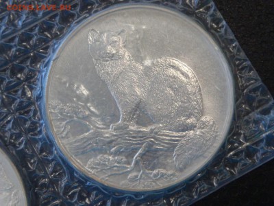 Соболь 3 руб. Запайка. до 20.09. (№2) - Соболь2_2.JPG