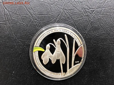 Армения 1000 драм 2010 цветы подснежники -19.09.19 22:00 мск - 0PIHCC2aM4s