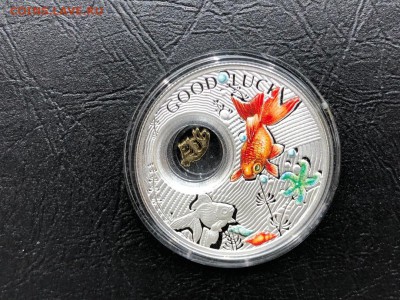 Ниуэ 1 доллар 2014 Золотая Рыбка - 19.09.19 22:00 мск - LOKRANP2d5o