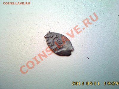 Чешуйка на определение и оценку - IMG3648