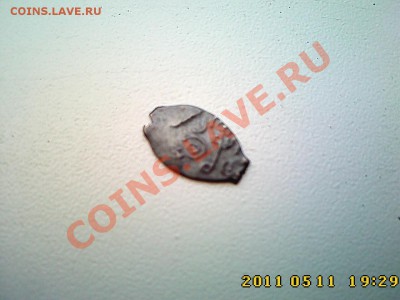 Чешуйка на определение и оценку - IMG3647