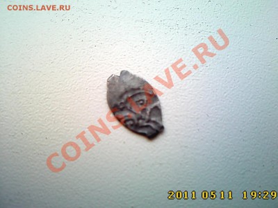 Чешуйка на определение и оценку - IMG3645