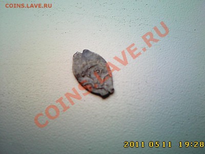 Чешуйка на определение и оценку - IMG3643
