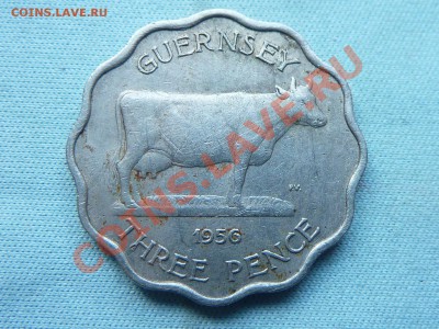 GUERNSEY 3 пенса 1956г. ВОЛНИСТАЯ с КОРОВОЙ  до 17.05.11в 22 - MEMO0022.JPG