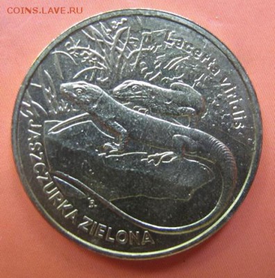 2 злотых Польши 2009 "Ящерица" - c 60 рублей - IMG_9955.JPG