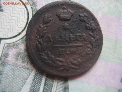 На оценку Деньгу 1813 ем - IMG_2418[1].JPG