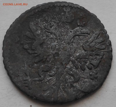 Деньга и полушка 1731г-перечеканы на оценку - DSCN5925.JPG