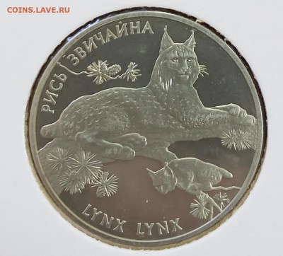 Украина 2001 2 грн Рысь обыкновенная до 19.09 в 22.30 - 2001_Lynx1