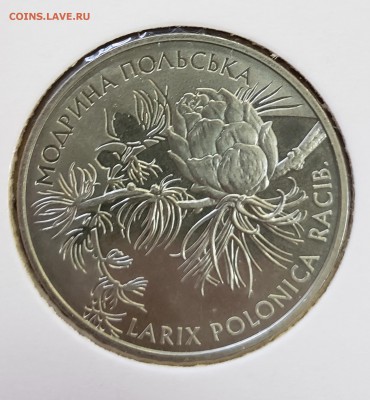 Украина 2001 2 грн Лиственница польская до 19.09 в 22.30 - 2001_Modr1