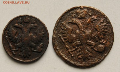 полушка и деньга 1735 года, до 24.09 до 22:00 - DSC_2337.JPG