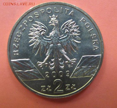 2 2 злотых Польши 2009 "Ящерица" - IMG_9956.JPG