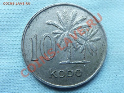НИГЕРИЯ 10 кобо  до 18.05.11 в 22-00 - MEMO0066.JPG