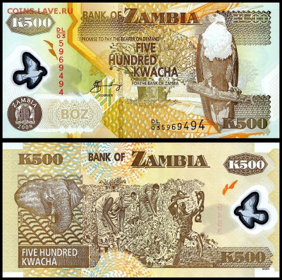 Замбия 500 квача 2008 г. UNC.  до 24.09. в 22:00 мск. - ЗАМБИЯ_ 500 _ пластик
